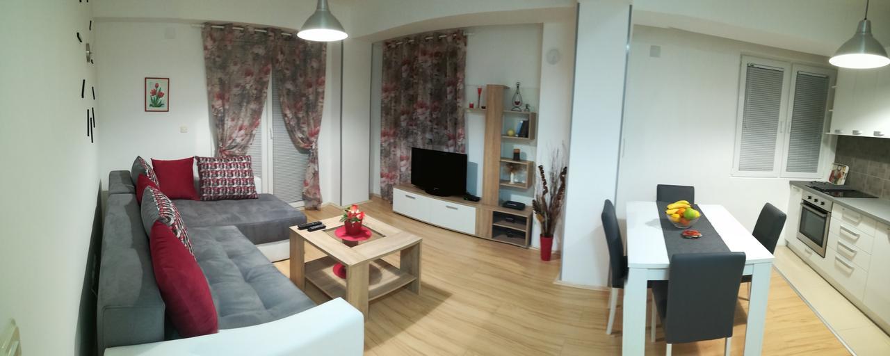 Apartment Angelovski 1